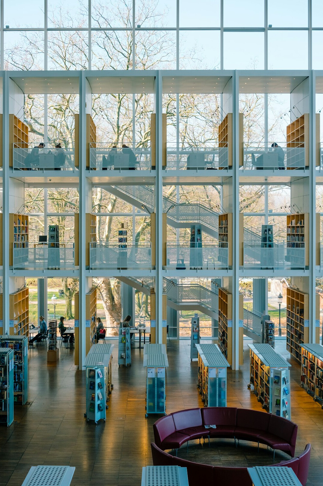 Grand academic library with tall bookshelves